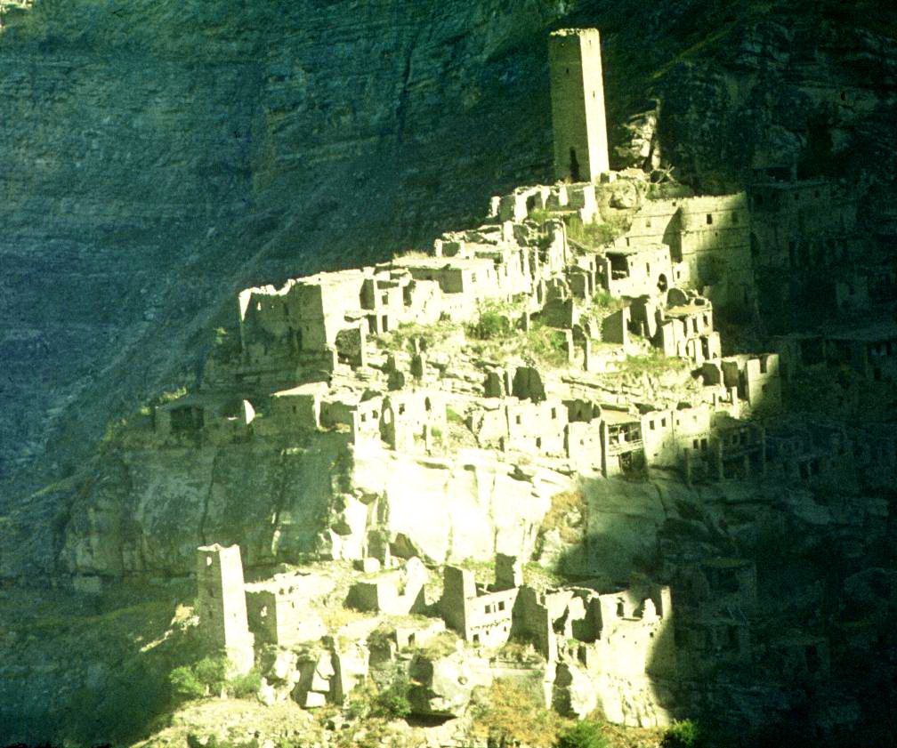 184.jpg