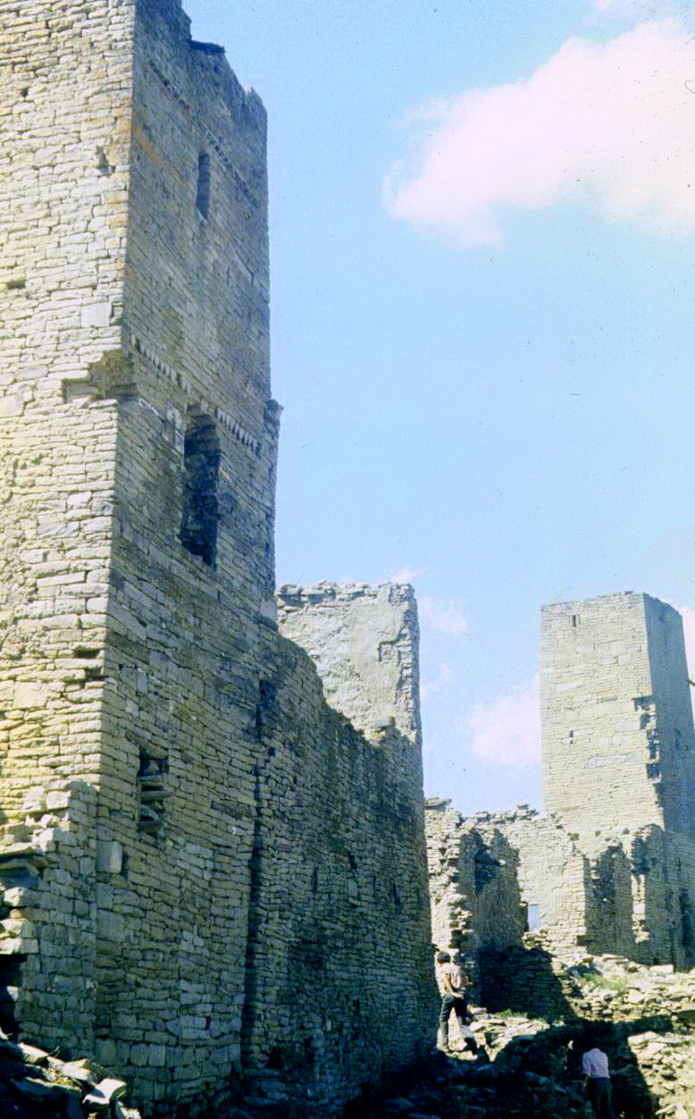 197.jpg