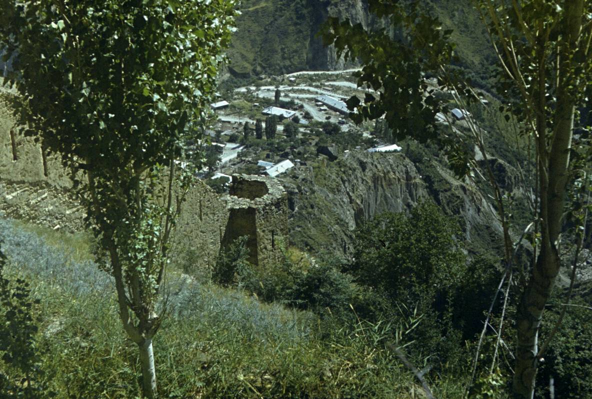 204.jpg