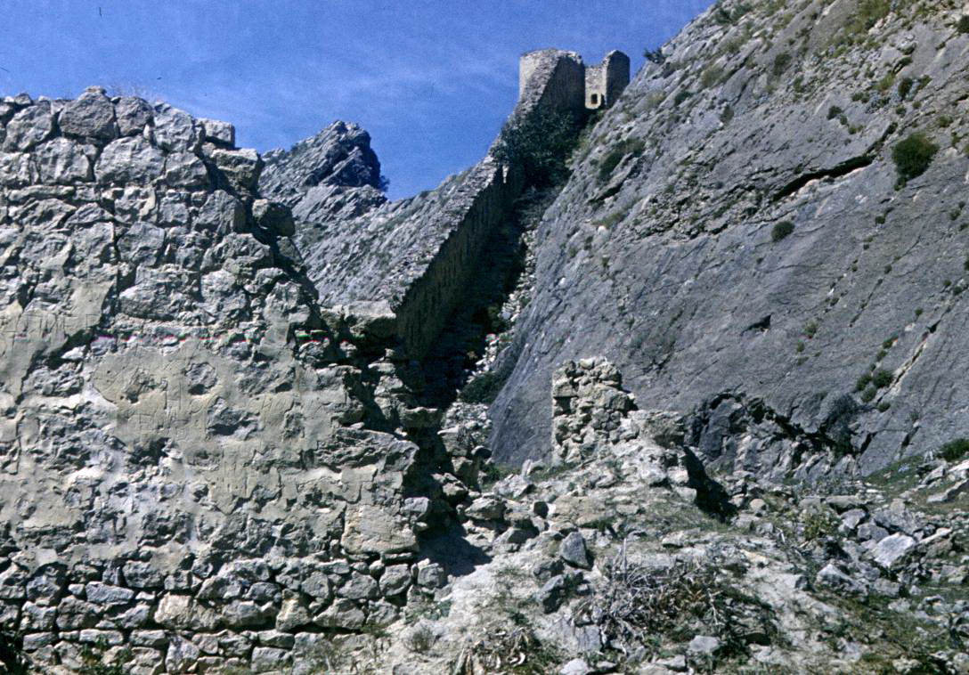207.jpg