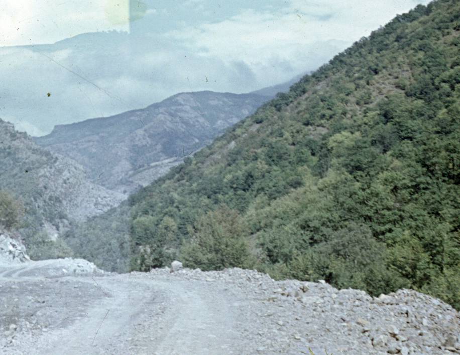 208.jpg