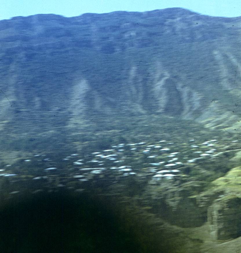 216.jpg