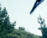 222-1.jpg