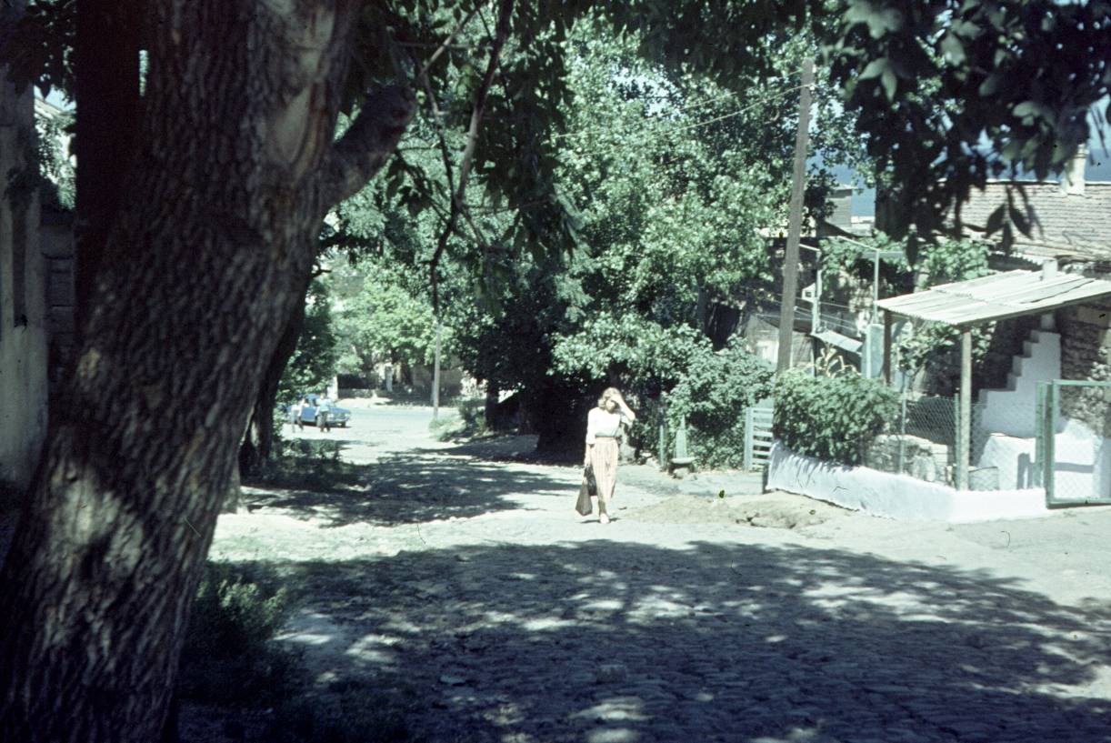235.jpg
