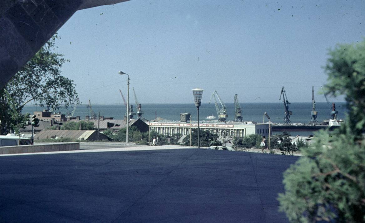 236.jpg