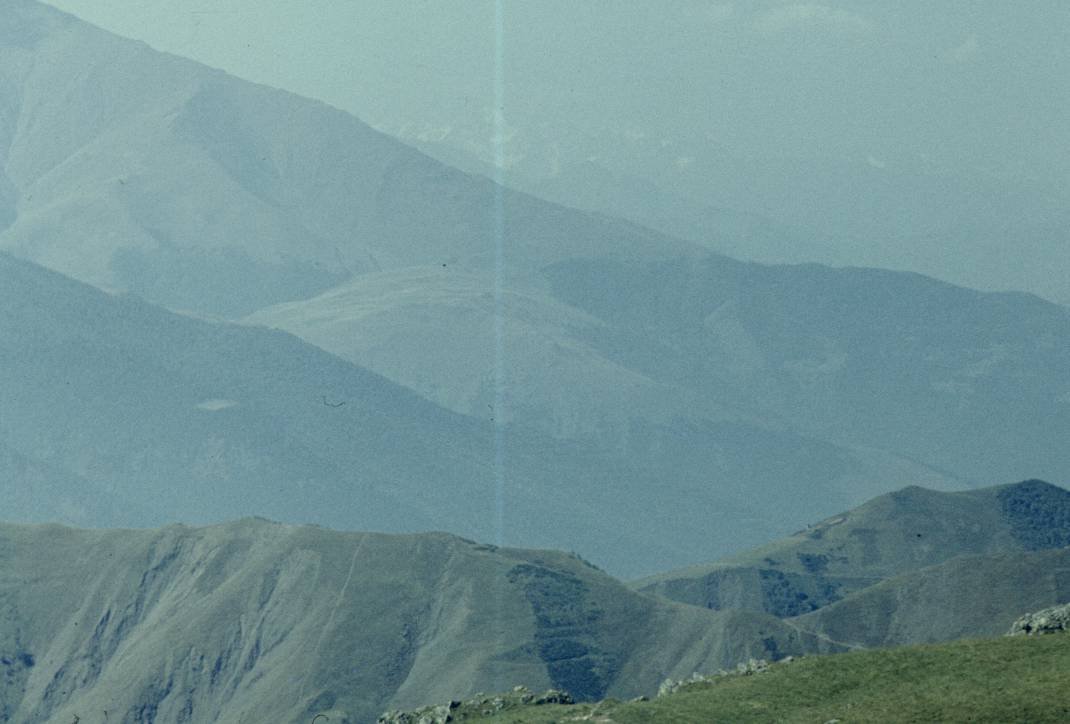 009.JPG