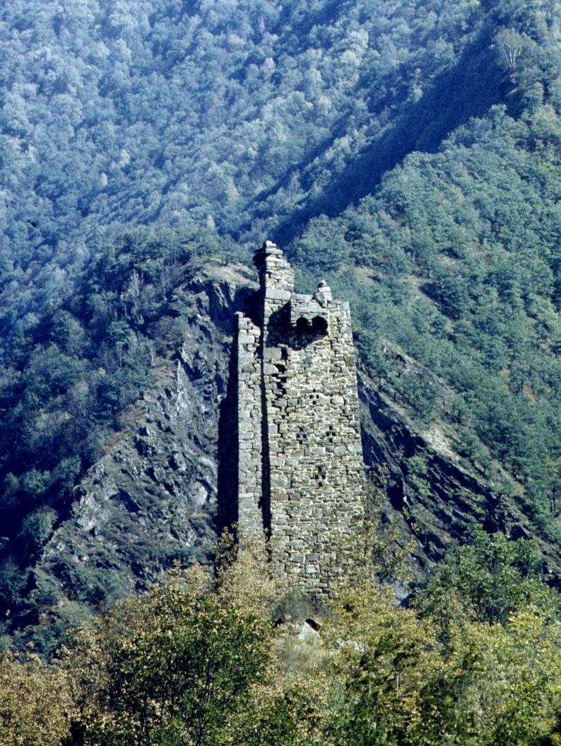 100.JPG