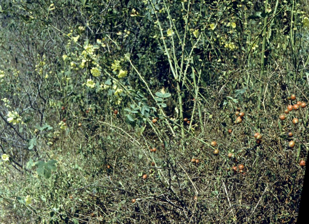 103.JPG