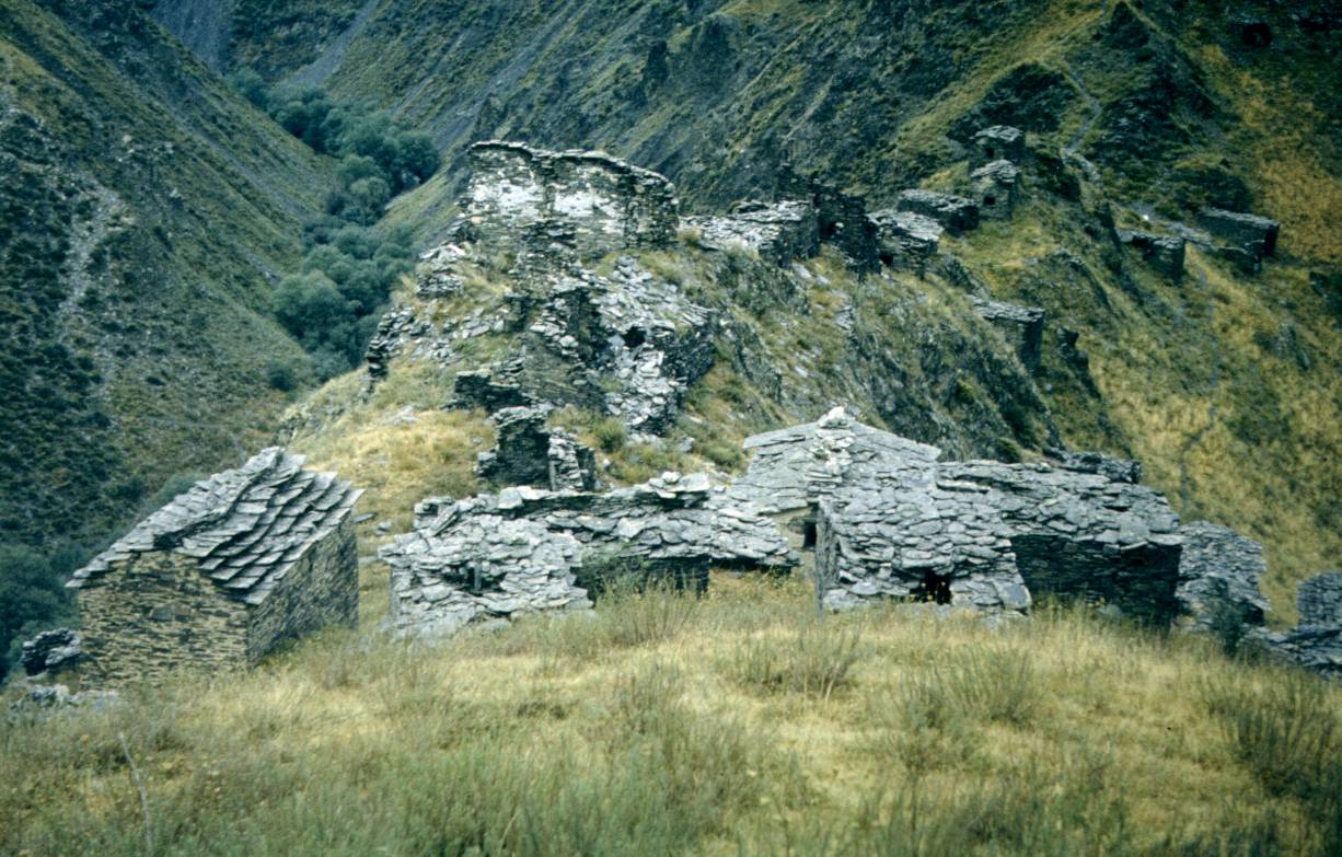 115.JPG