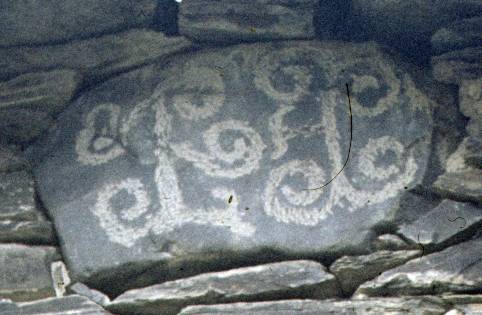 117-1.JPG