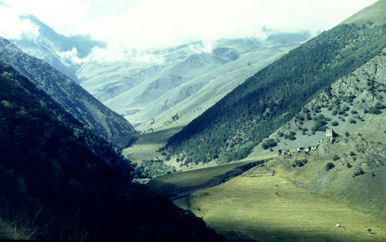 135.JPG