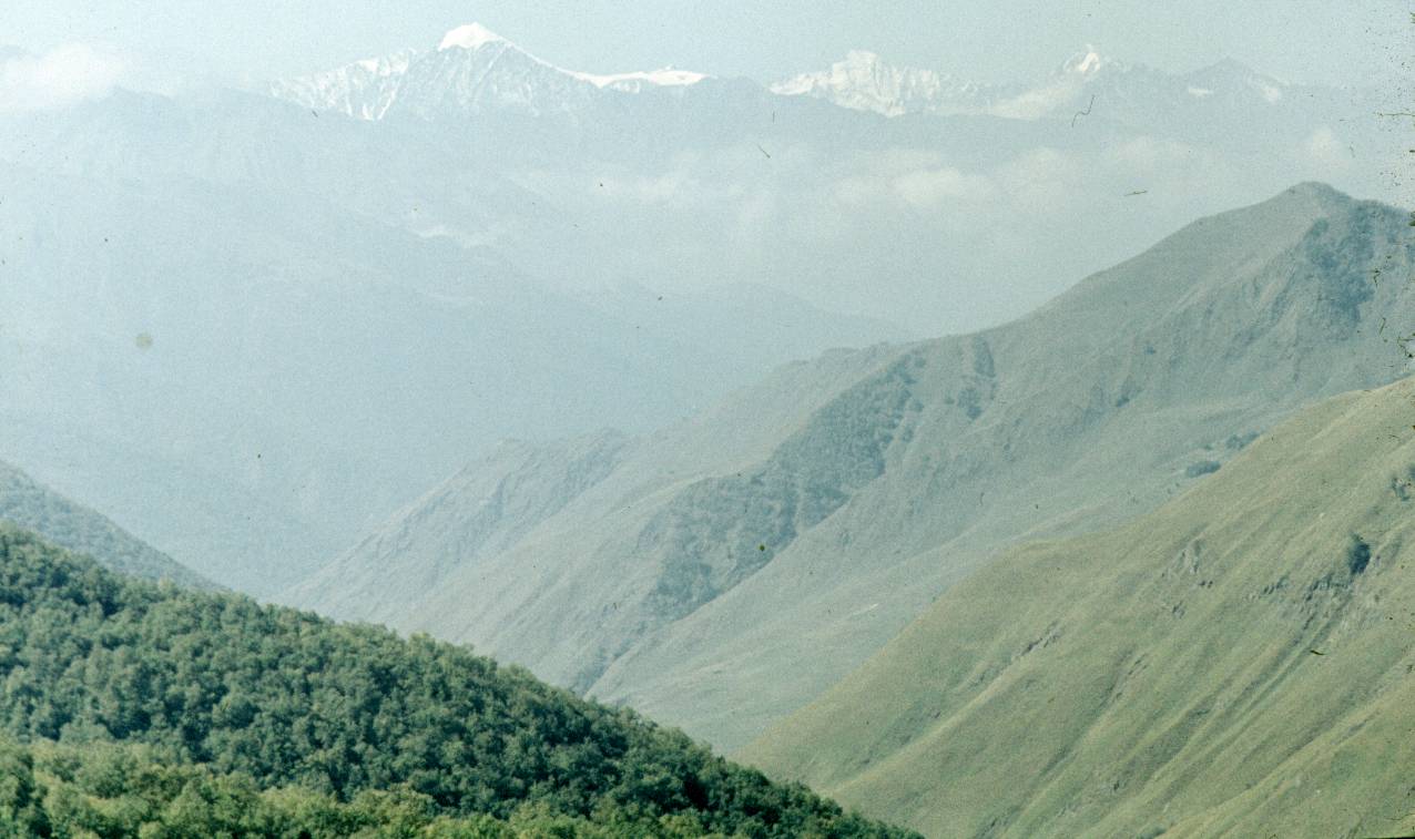 140.JPG