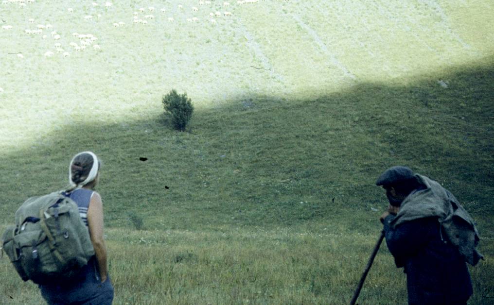 142.JPG