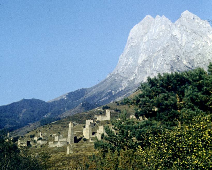 164.JPG