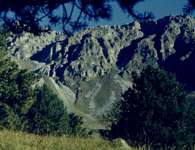 165-1.JPG