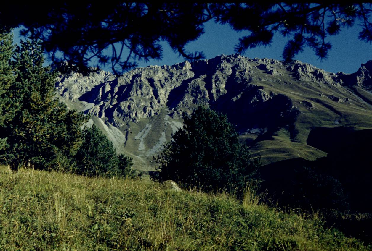 165.JPG