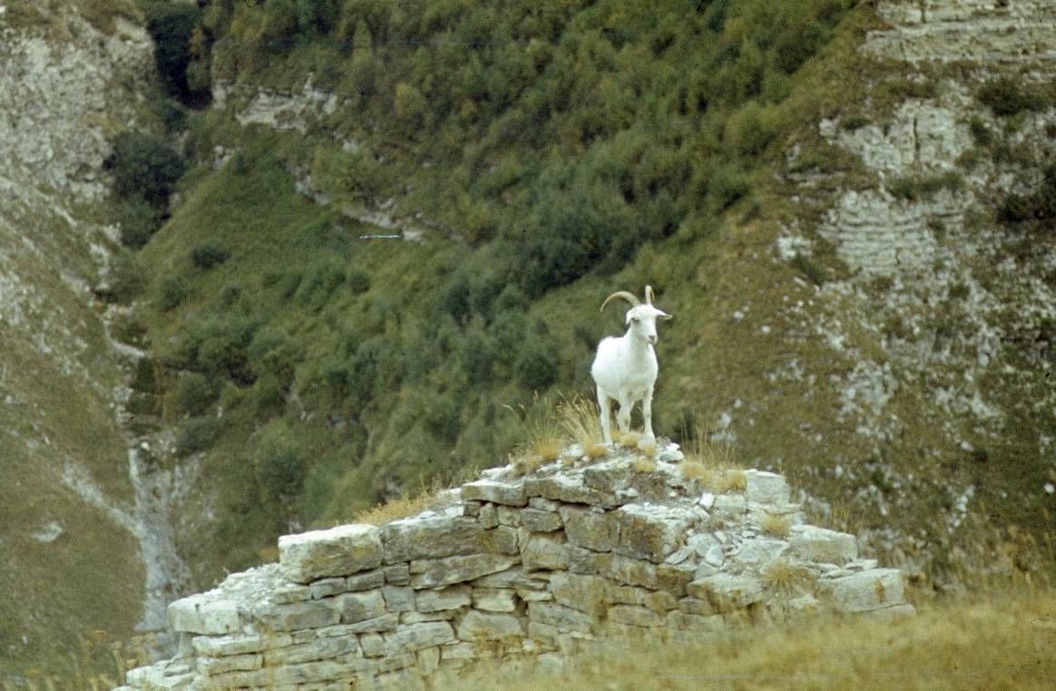 169.JPG