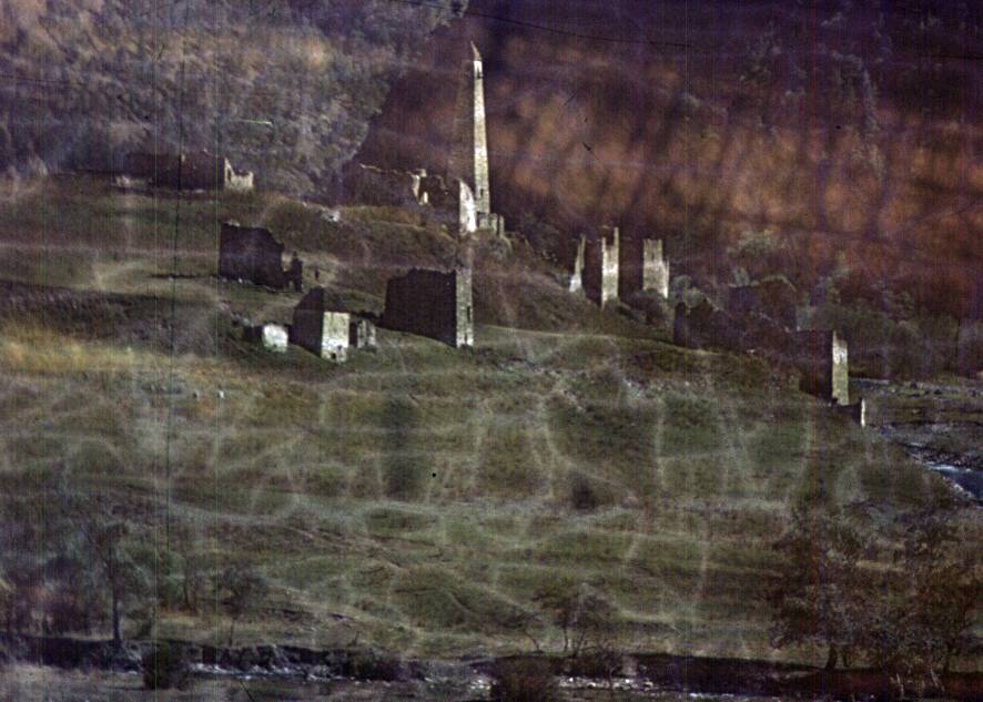 174.JPG
