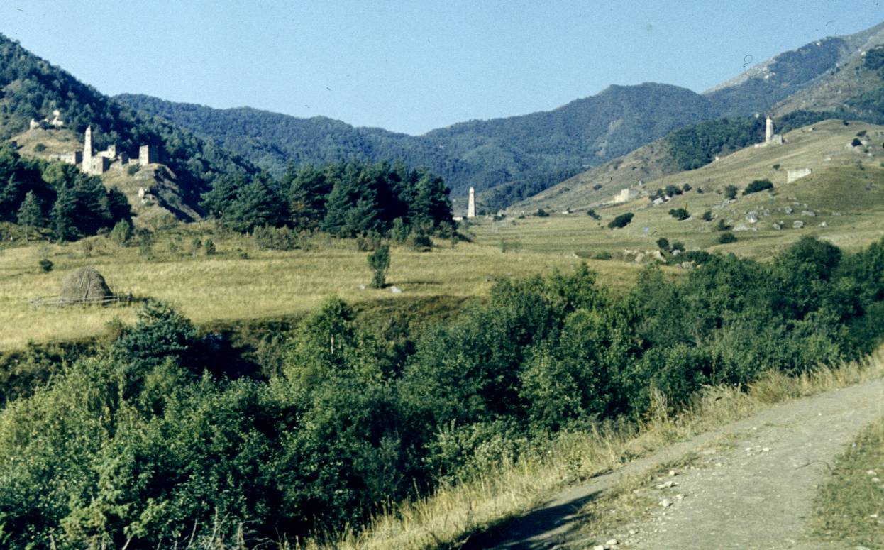 186.JPG