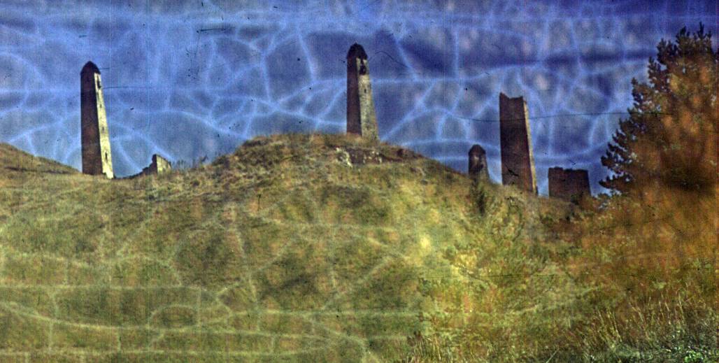 194.jpg