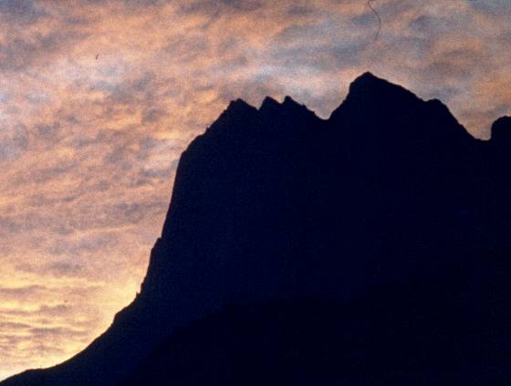 197-1.JPG