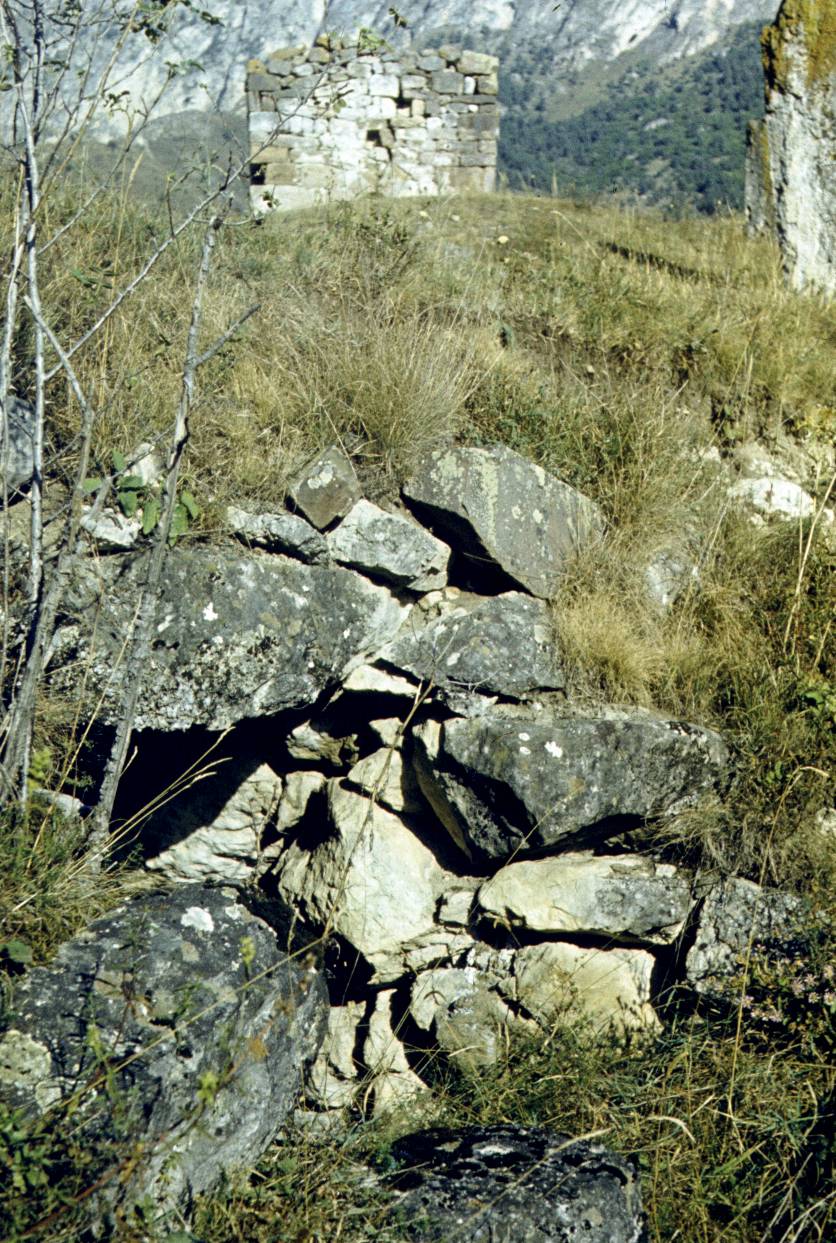206.JPG