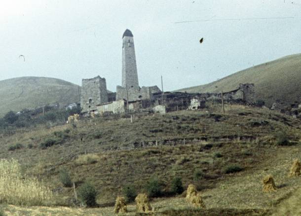 217-1.JPG