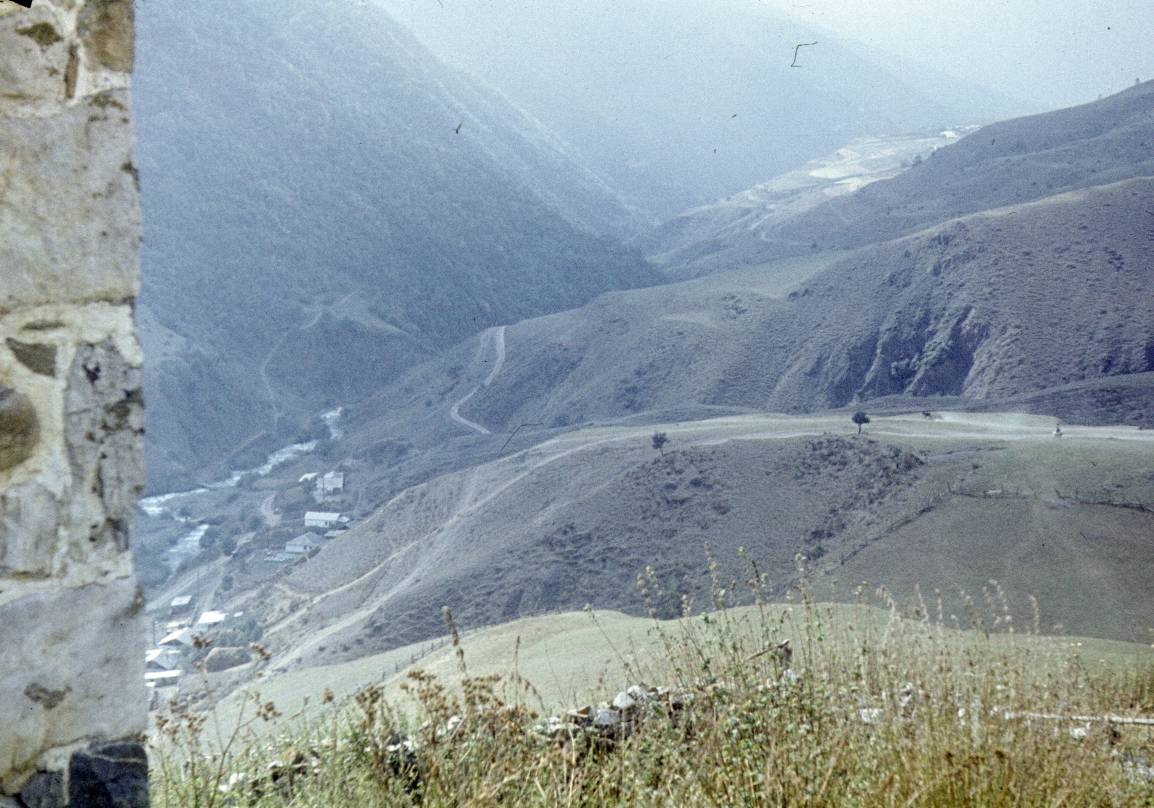 219.JPG