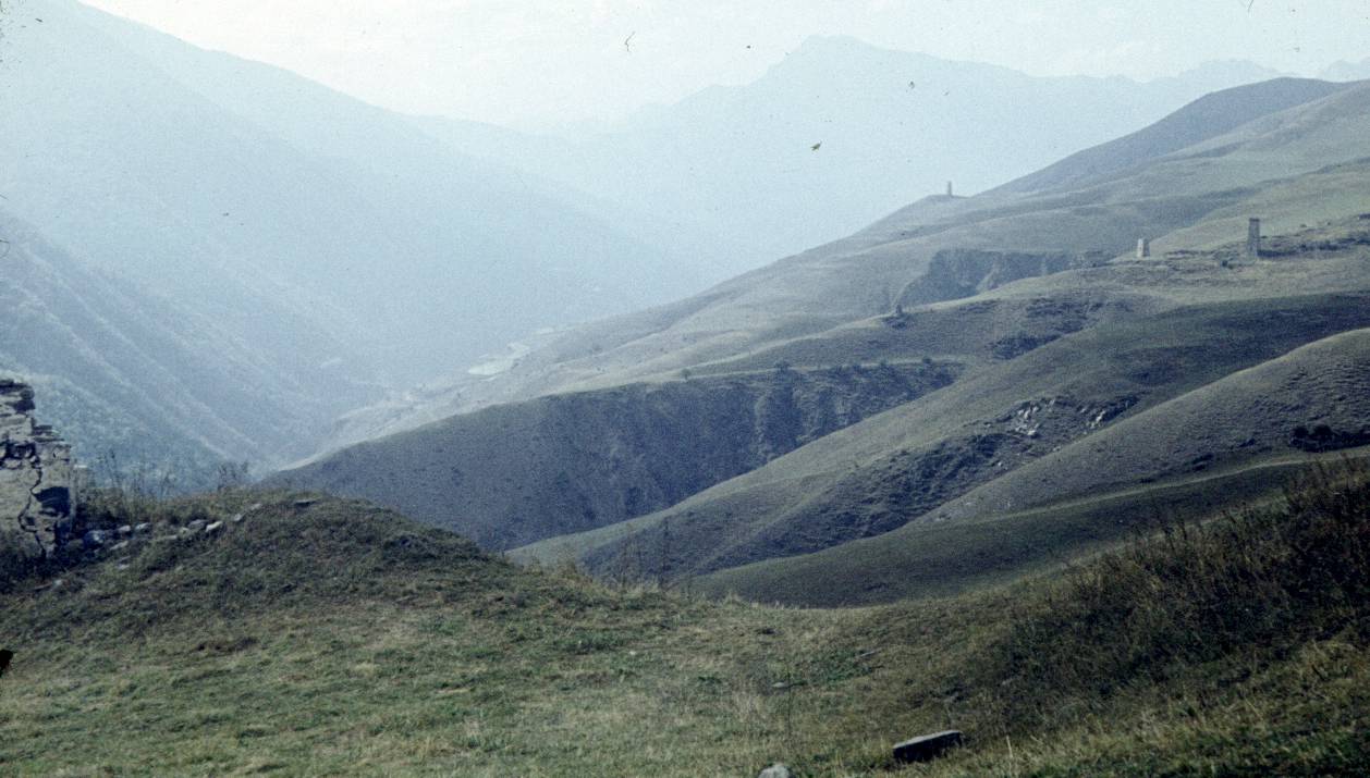 231.JPG