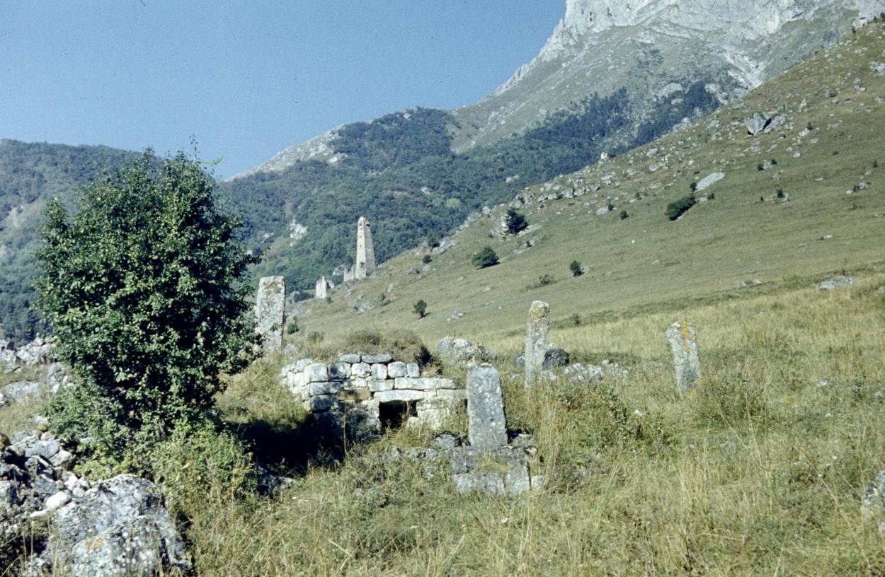 234.JPG