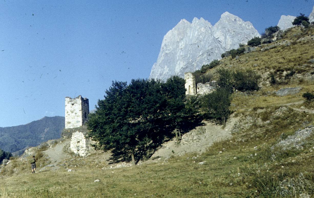 239.JPG