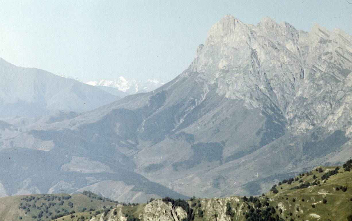 242.JPG