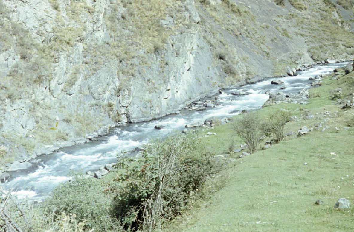 254.JPG