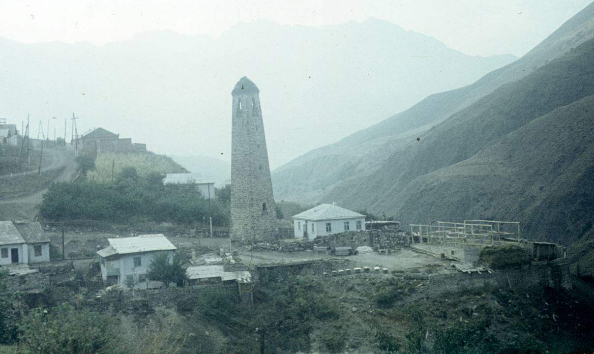 259.JPG