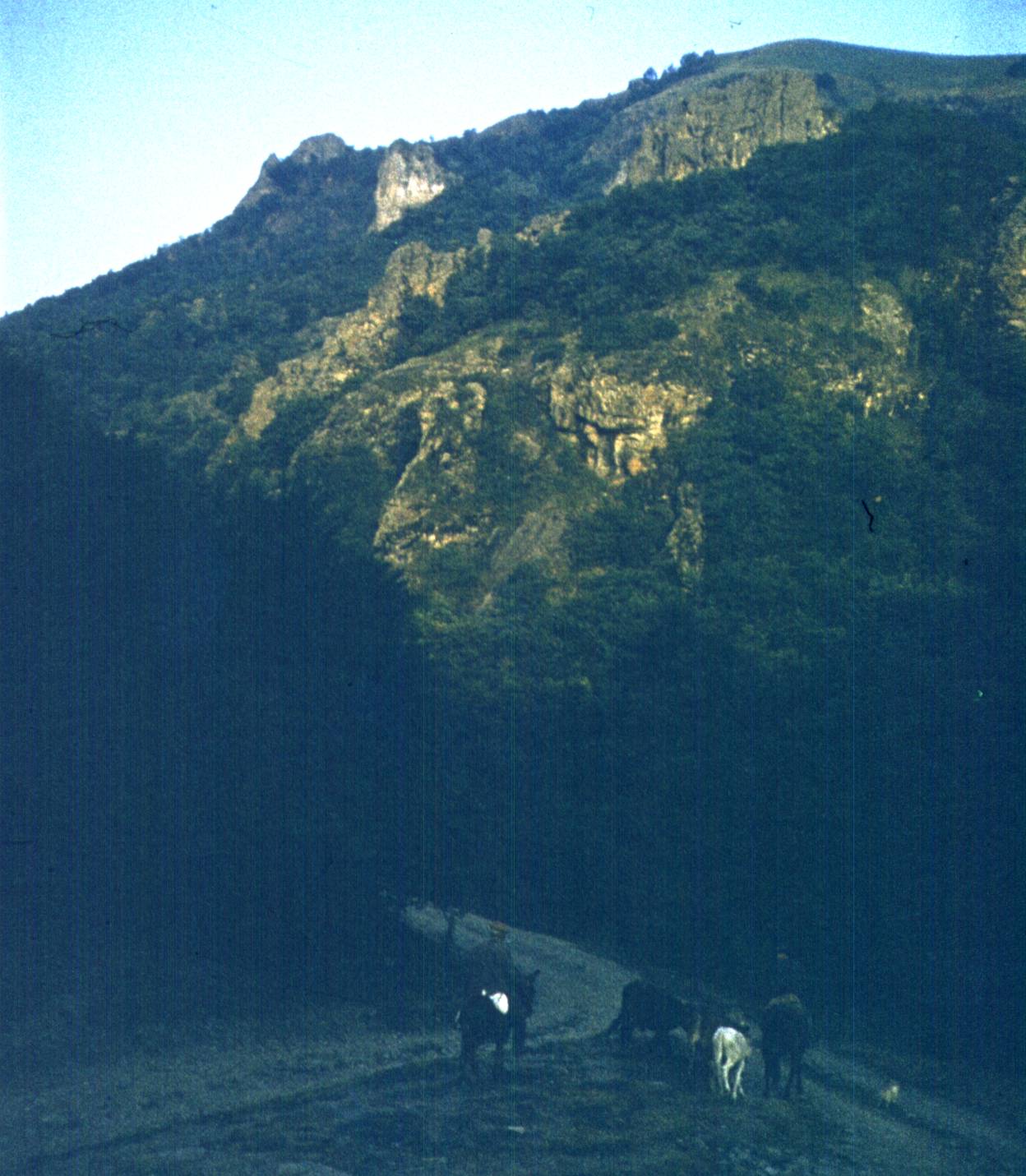 148.JPG
