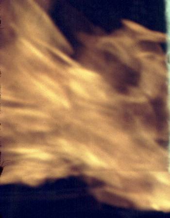 026-1.JPG