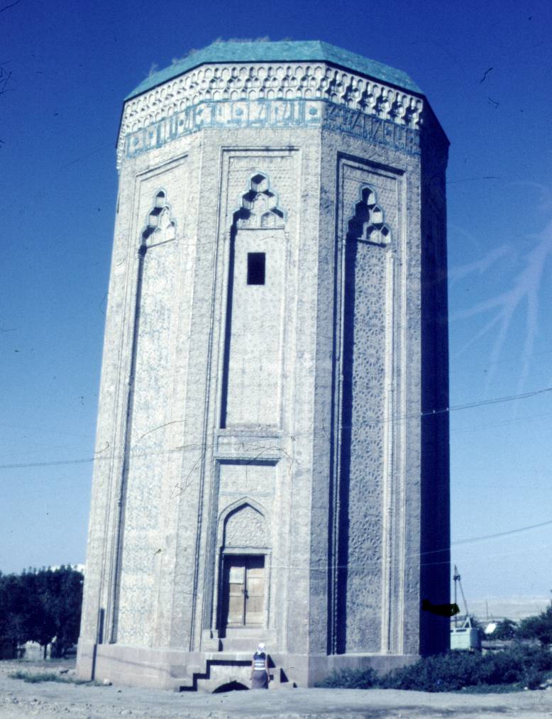 100.JPG
