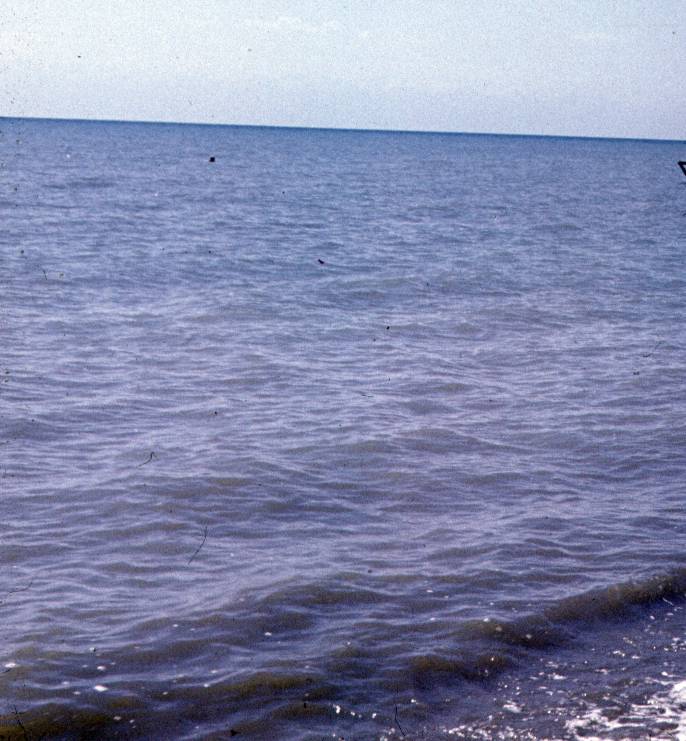 161.JPG