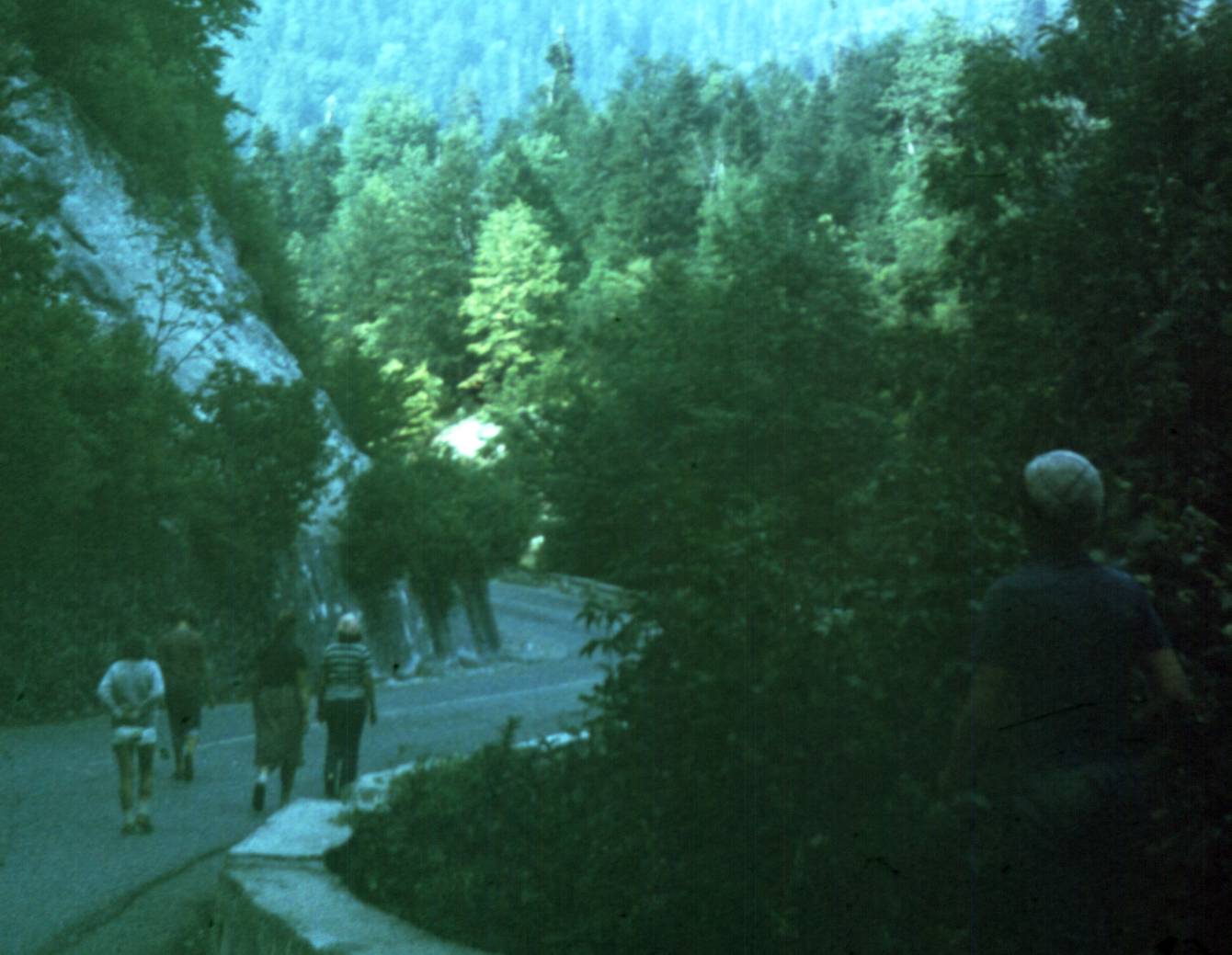 005-1.jpg