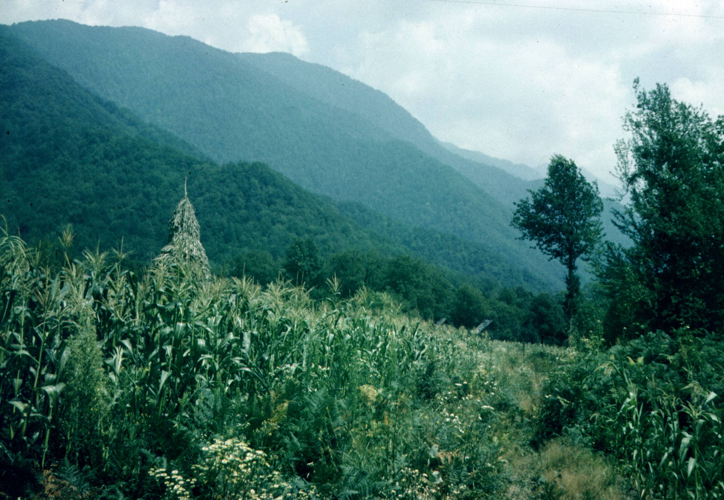 104.jpg
