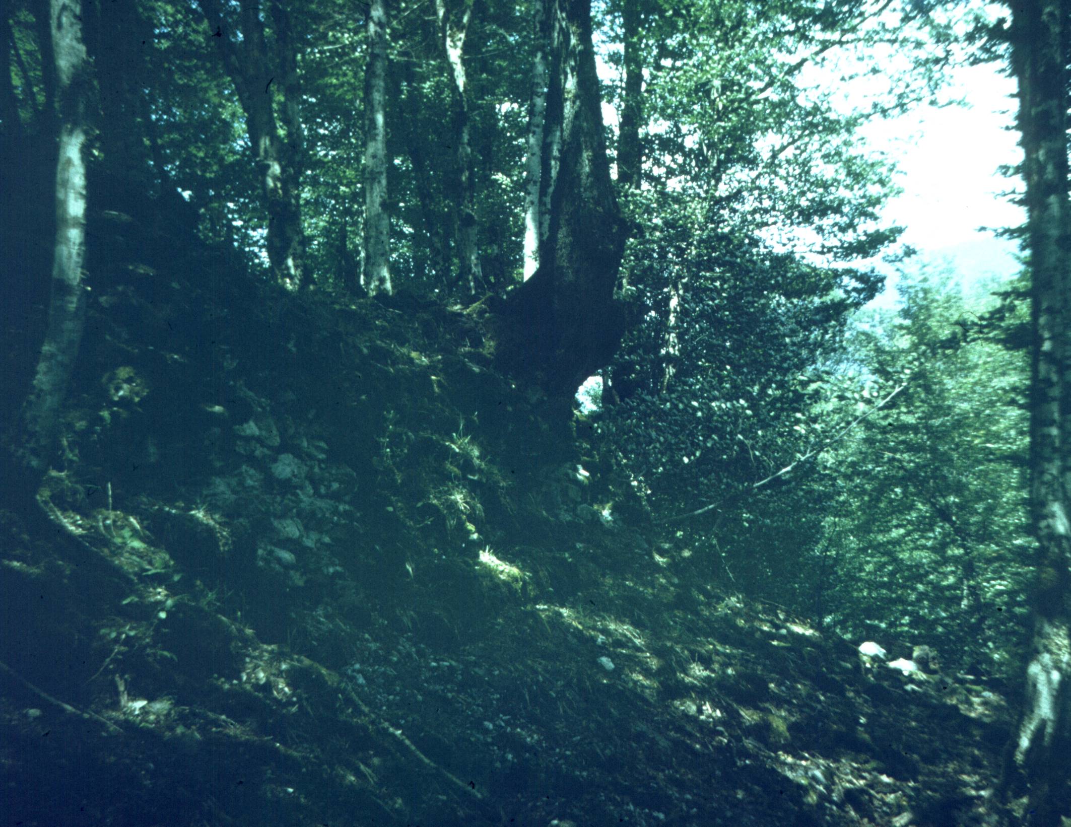 108.jpg
