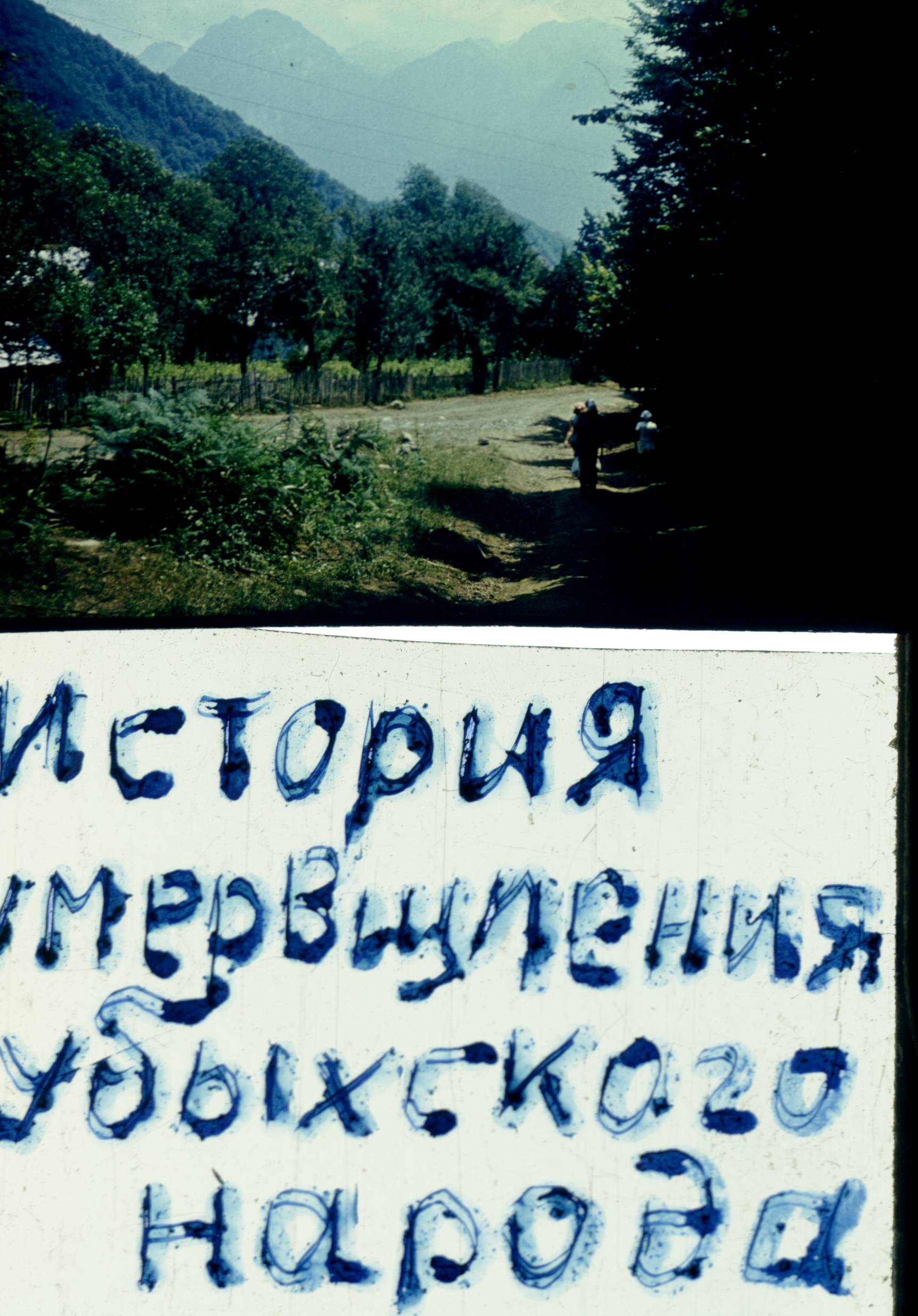 110.jpg
