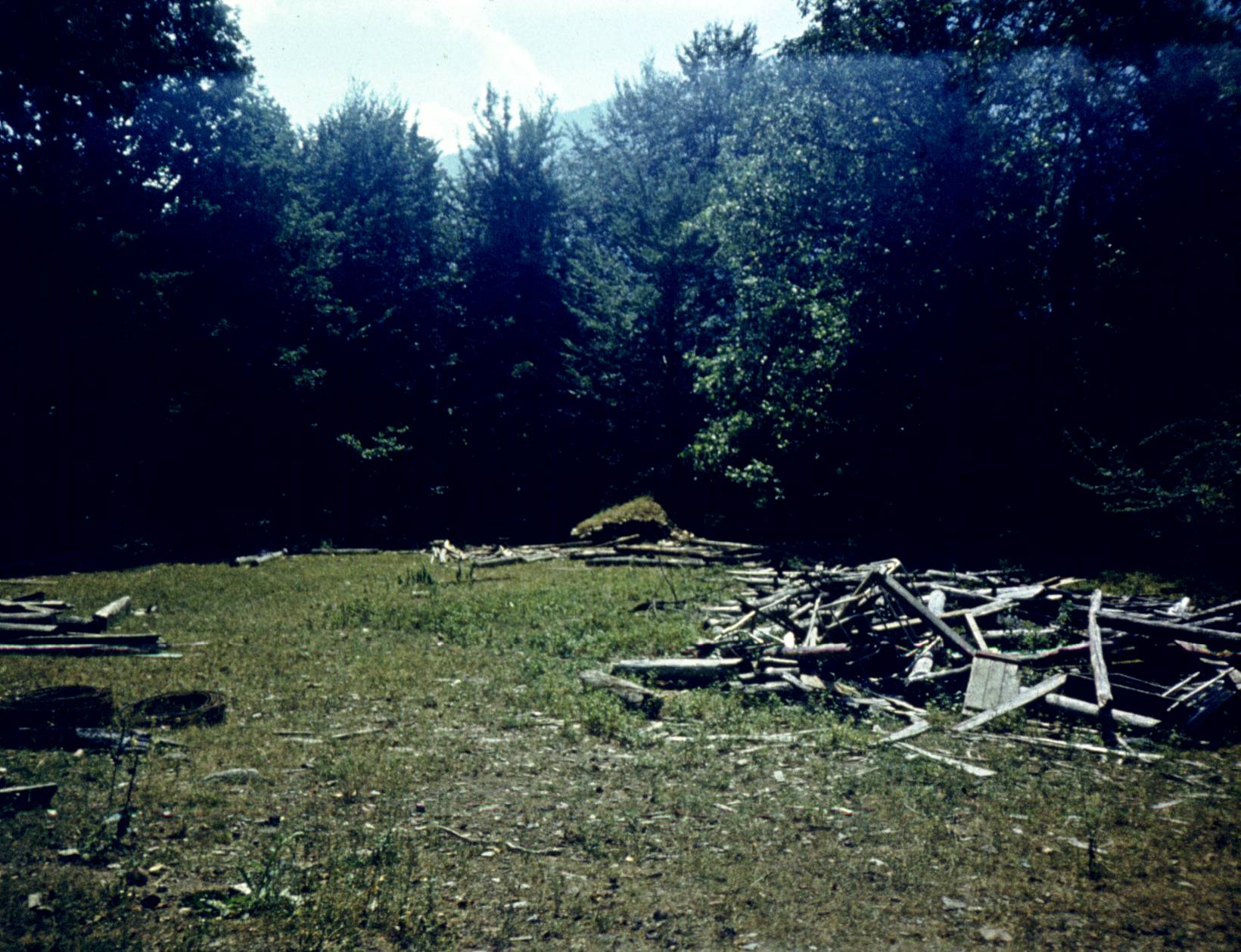 113.jpg