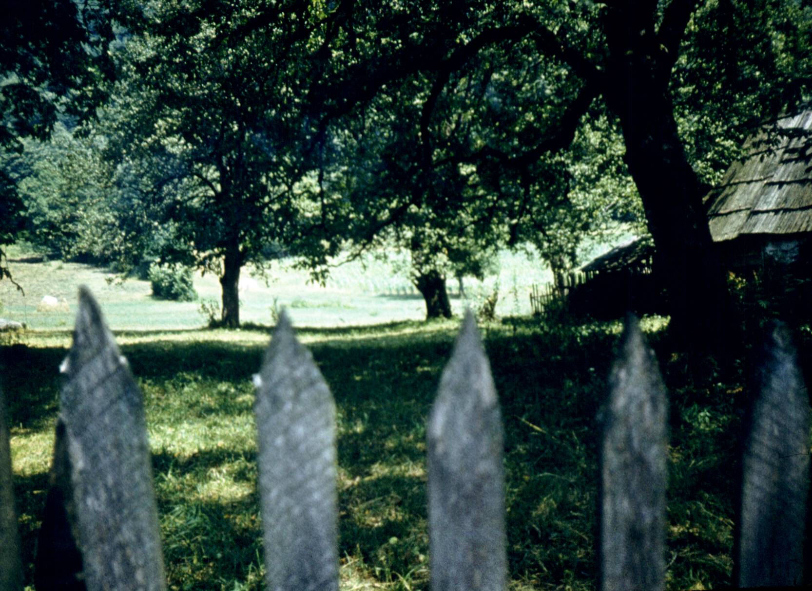 117.jpg