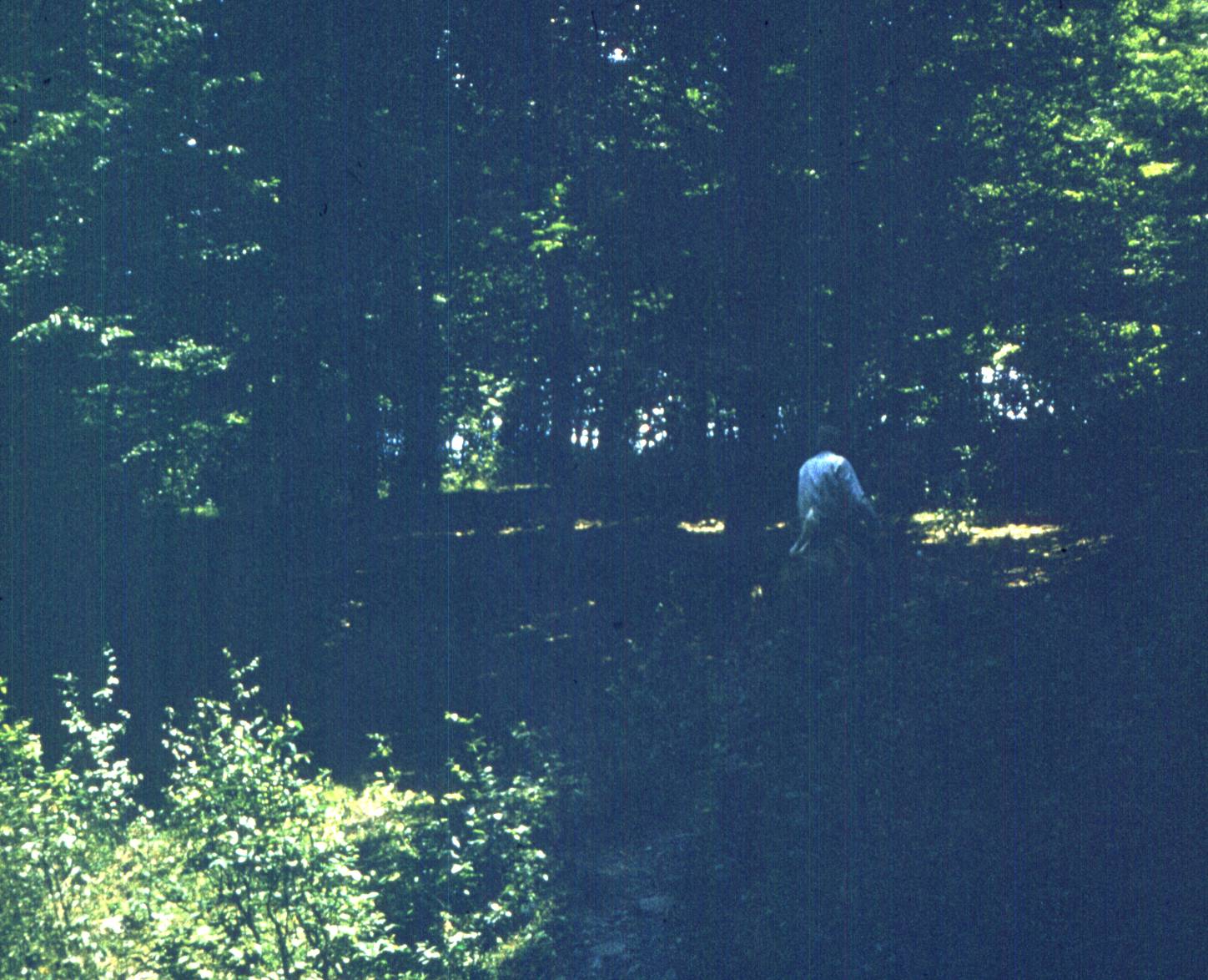 119.jpg