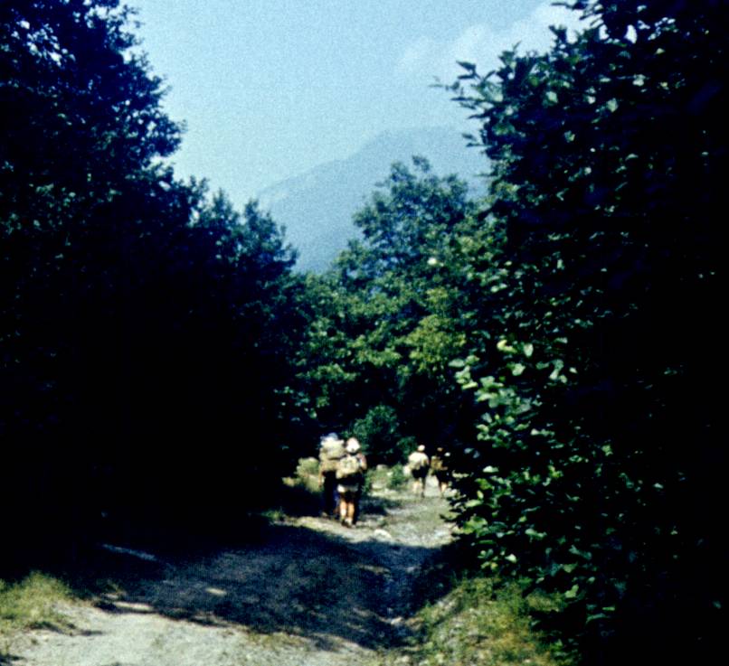 122-2.jpg