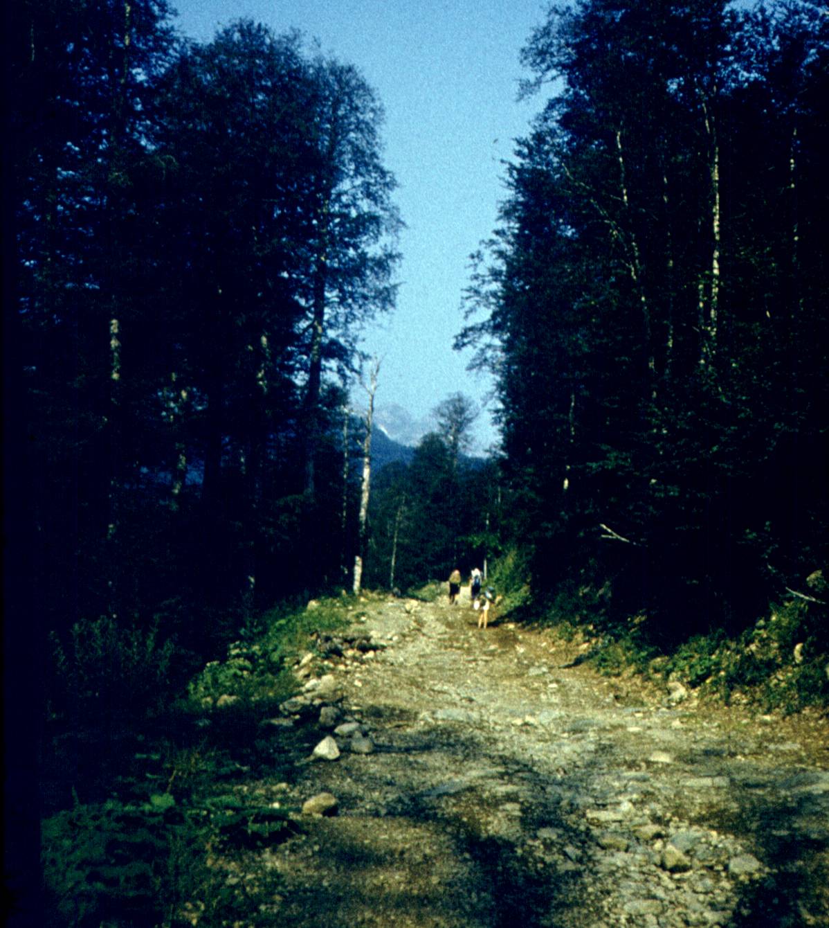 129.jpg
