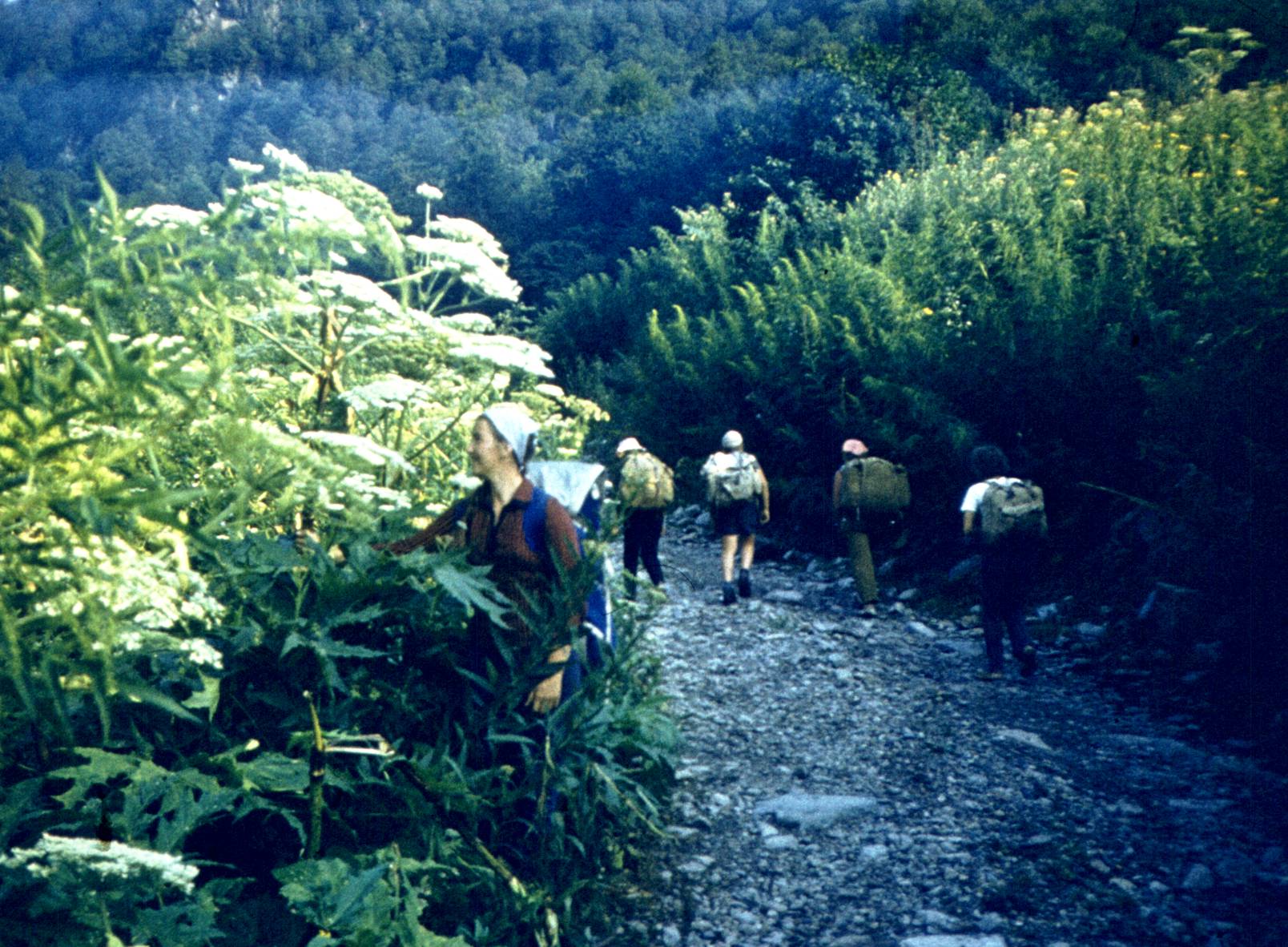131-1.jpg