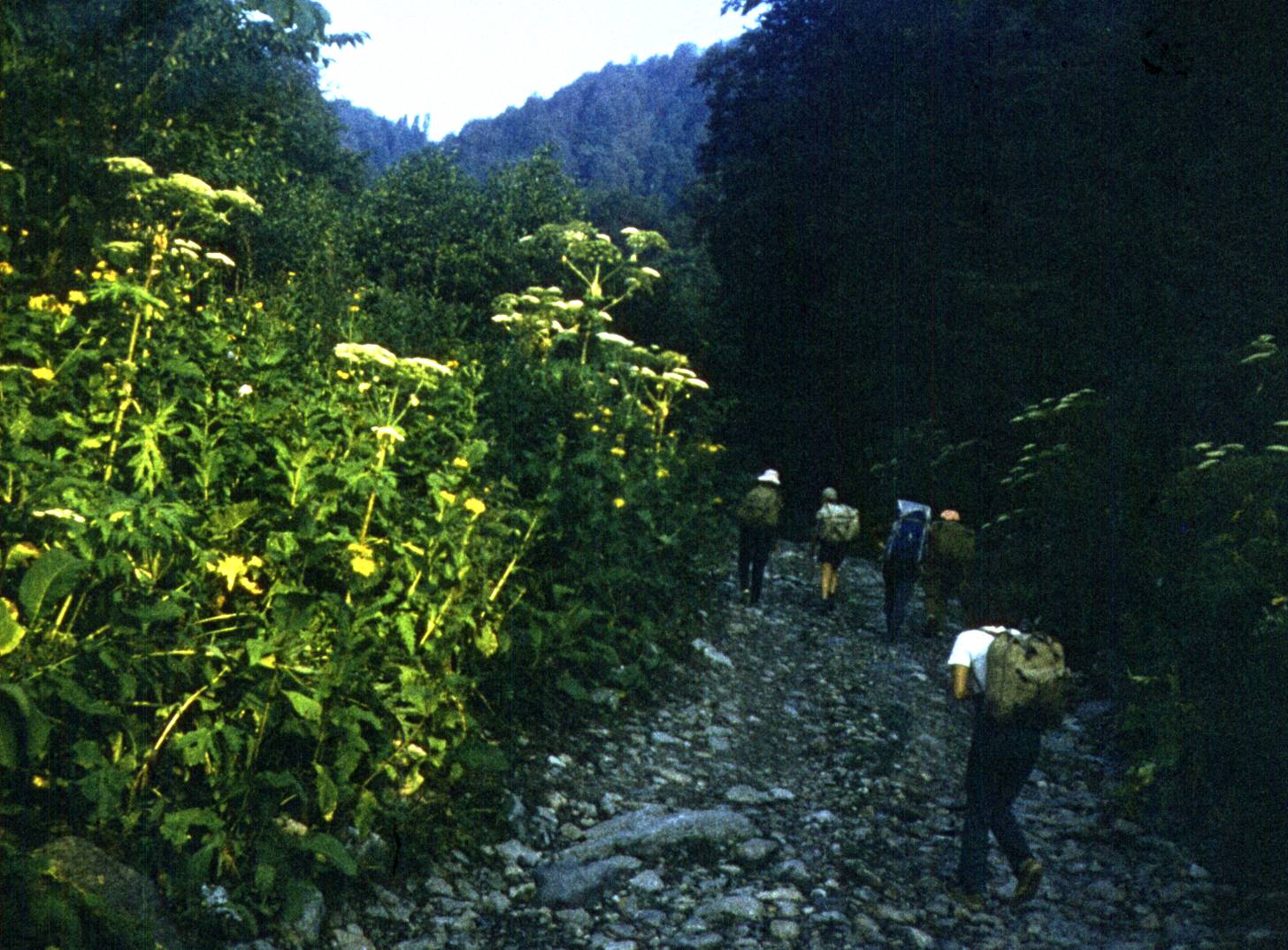 131.jpg