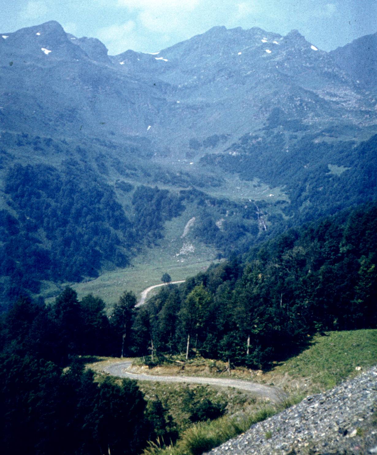 138.jpg